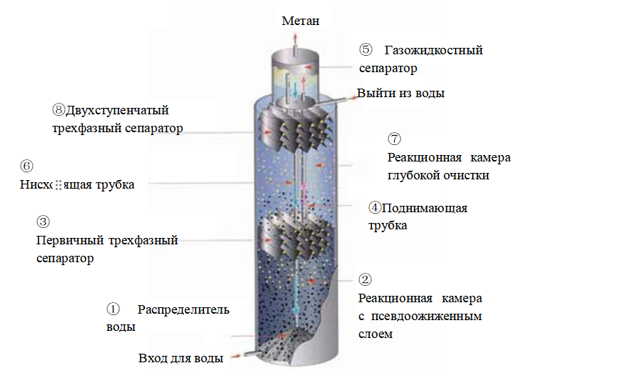 Принцип работы анаэробного реактора IC: Форма анаэробного реактора IC представляет собой вертикальный резервуар (показан на рисунке ниже) высотой от 12 до 28 метров и диаметром от 1,5 до 15 метров. Сточные воды, подлежащие очистке, используют эффективную систему распределения воды ① Из нижней части реактора закачиваются в реактор и смешиваются с анаэробным гранулированным илом в реакторе; в основной зоне обработки нижней части реактора ② большая часть органического вещества превращается в метан и диоксид углерода; эти смешанные газы (или биогаз) состоят из следующего: первичный трехфазный сепаратор министерства собирается; образующийся "отбор газа&rdquo; направляет поток воды по восходящей трубе 4 в газожидкостный сепаратор в верхней части реактора 5; биогаз вытекает из основного трехфазного сепаратора министерства. этот сепаратор поступает в реактор, и вода течет по нисходящей трубе 6 обратно в нижнюю часть реактора По следующему принципу: реактор называется анаэробным реактором с внутренней циркуляцией, сточные воды дополнительно обрабатываются в верхней реакционной камере глубокой очистки.Биогаз отделяется от жидкой фазы на стадии очистки, а затем отделяется вторичным трехфазным сепаратором в верхней части. Очищенная вода собирается и выпускается из верхней части реактора.